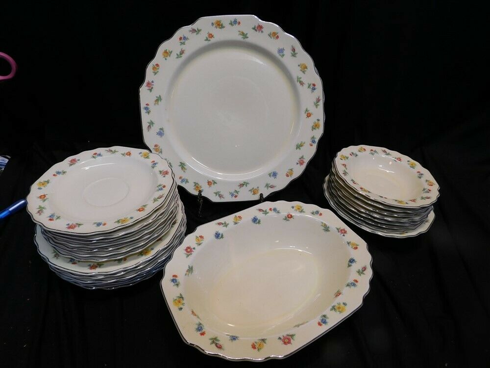 W.s. George Canarytone China Floral Design 25 Pieces