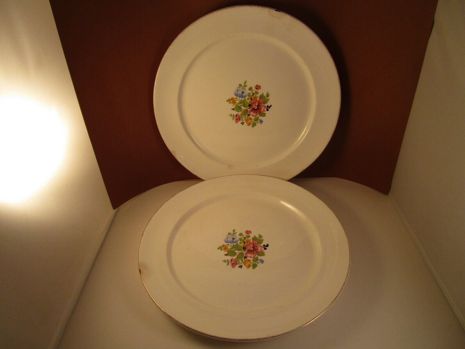 Vintage Ws George Derwood Flowers Pair Of Dinner Plates